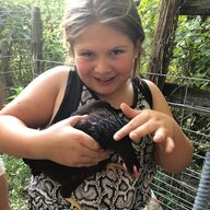 Happyhealthyhomestead