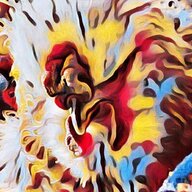 Smokey the Chicken Mama