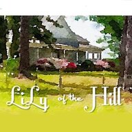 LilyOfTheHill