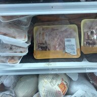 Gold Griffin Chicken Mom