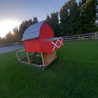chickINNcooptractor