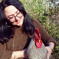 HappyHen77