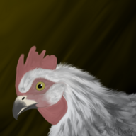 MagicChickenMama