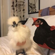 PeepsnFluffy