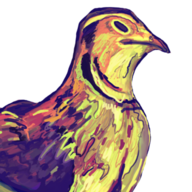 rookbeak