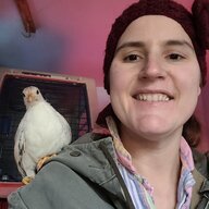 Serama Mama Chicken Depot