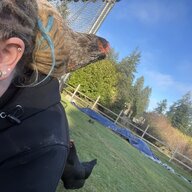 FattyFattyLumpkin