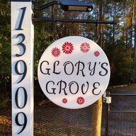 GlorysGrove