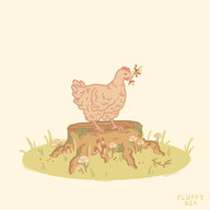 shroomiChicken