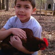 Animalfarm4432