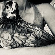 Inkydoodle