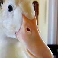 Dr Fluffybottom