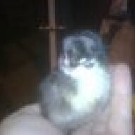 CypressValleySouthern