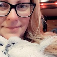 Chataboutchickens