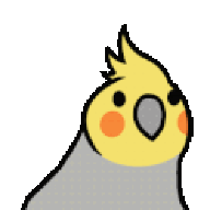 Nicks_Chicks