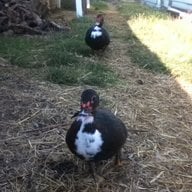 farmycharmy