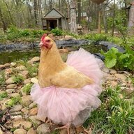 EggathaMary