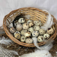 RomanQuailChickenGirl