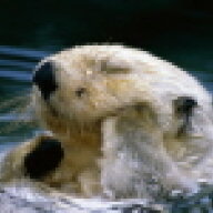 dixonzoo