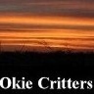 OkieCritters