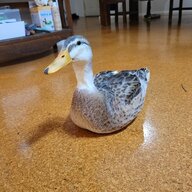 DahliaDuck
