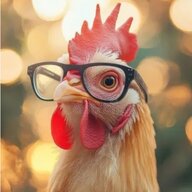 ChickenDude90