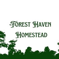 Forest Haven Homestead