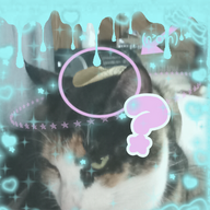 catfood3