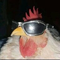 EggzactlyRight