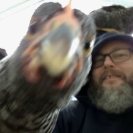 ShamrockFarmsGlaspey