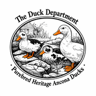 DuckDepartment