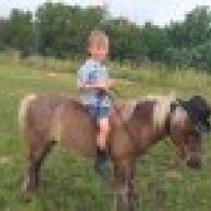 CarolinaChickenKeeper