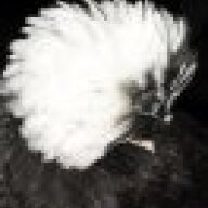 breezes_banties_n_bratts