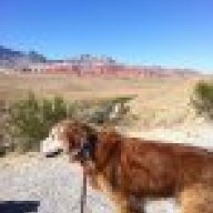 Bev in Nevada