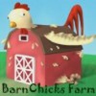 BarnChick