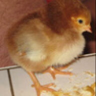 RayP