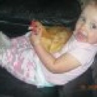 Memphisjourney2seramas