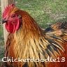 Chickerdoodle13