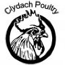 Clydach-Poultry
