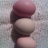 chickenlover24