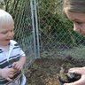 NEWCHICKS4