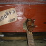 TheCrookedCoop