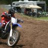 Suzukimx39