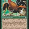 SavvyChicken