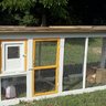 clucketycluck
