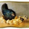 chicken lovr