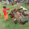 fazlur
