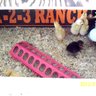 123ranch