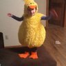 Flock Me
