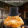 SirFluffyHoss